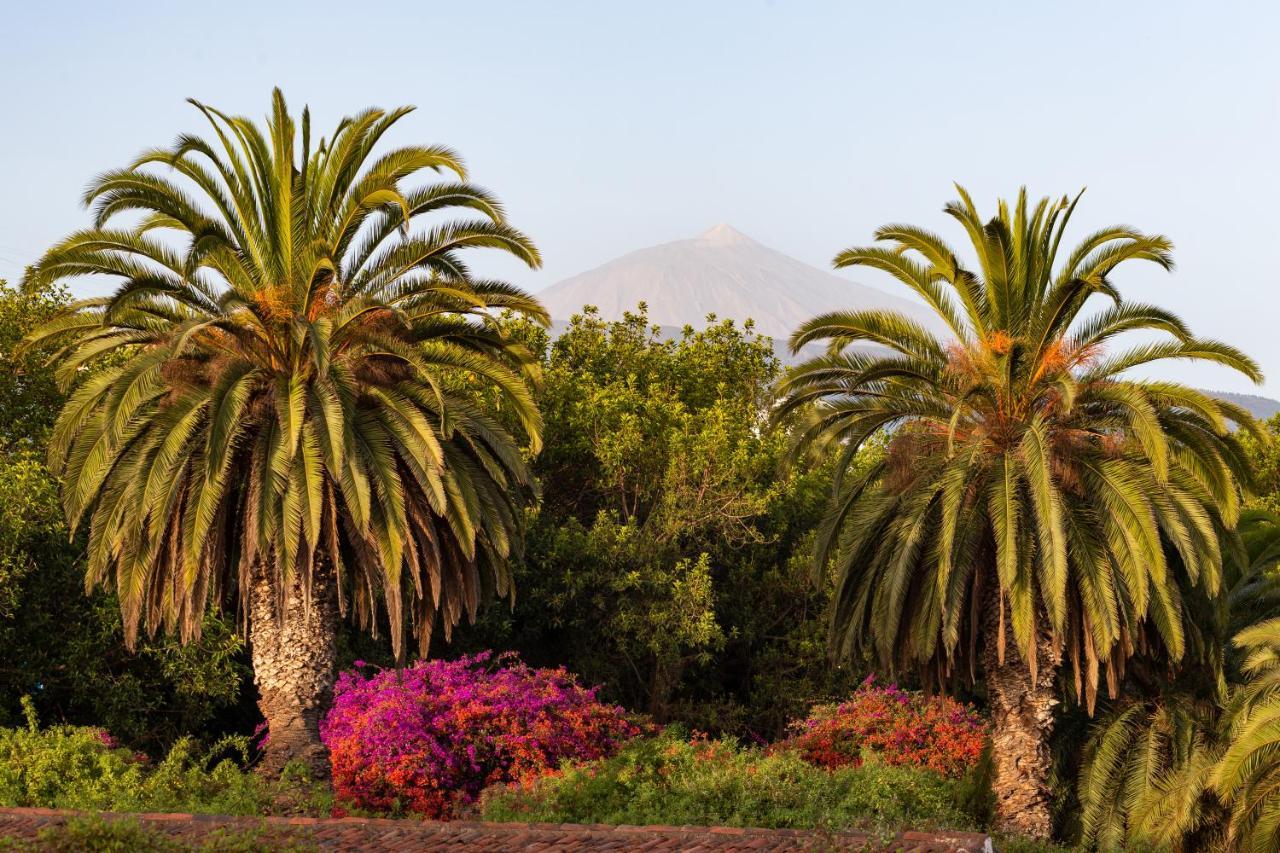 Apartment With Mount Teide And Sea Views 圣乌尔苏拉 外观 照片